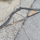 Illustration for article titled Google Fiber Will Pay $3.8 Million to Fix Roads Marred by Failed Louisville Project